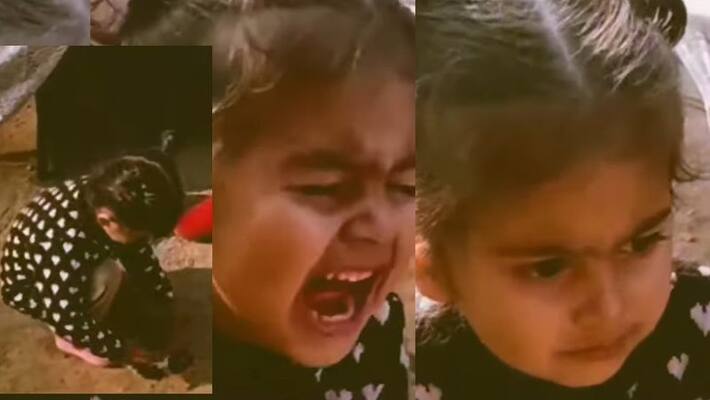 I want husband little girl crying a lot asking parents about husband watch funny viral video akb I want husband little girl crying a lot asking parents about husband watch funny viral video akb