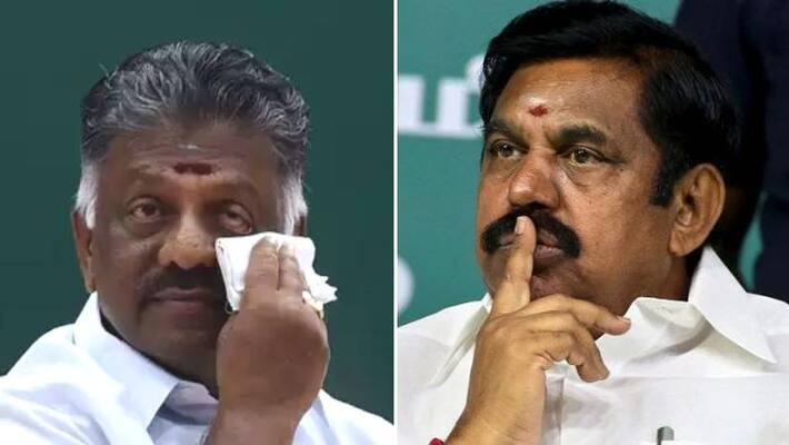 EPS lawyer has sent a notice that OPS is not allowed to use AIADMK flag EPS lawyer has sent a notice that OPS is not allowed to use AIADMK flag