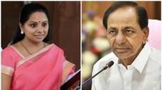 BRS  MLC  Kalvakuntla  Kavitha  Meets  Telangangana CM KCR lns