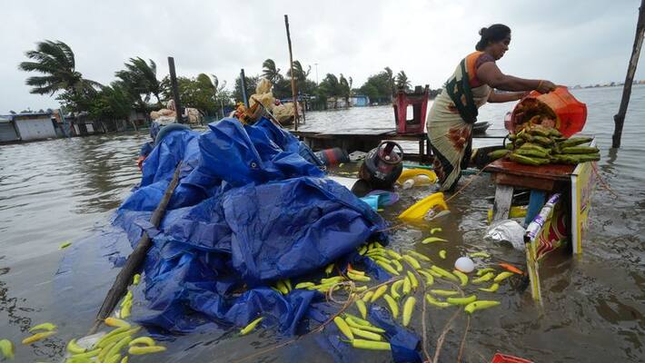 Cyclone Mandous Effect: 226 crore loss to Tirupati district Cyclone Mandous Effect: 226 crore loss to Tirupati district