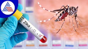 Zika virus case detected near Bengaluru in a mosquito in Chikkaballapur karnataka KRJ Zika virus case detected near Bengaluru in a mosquito in Chikkaballapur karnataka KRJ