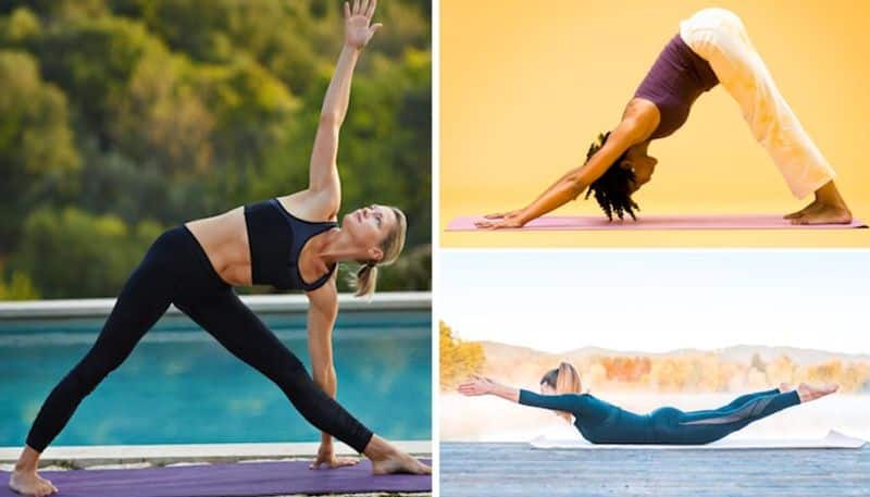 5 Yoga aasanas beneficial in the treatment of Osteoporosis - READ