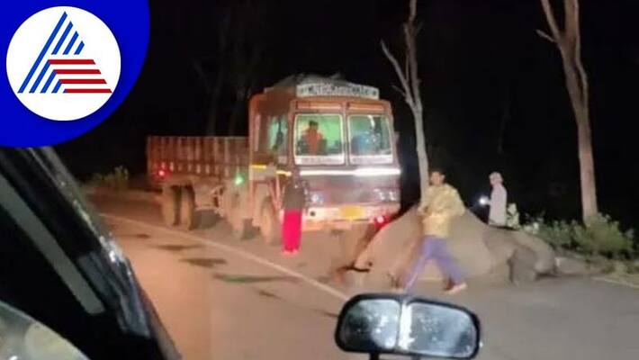 elephant died after being hit by a lorry in bandipur gvd elephant died after being hit by a lorry in bandipur gvd
