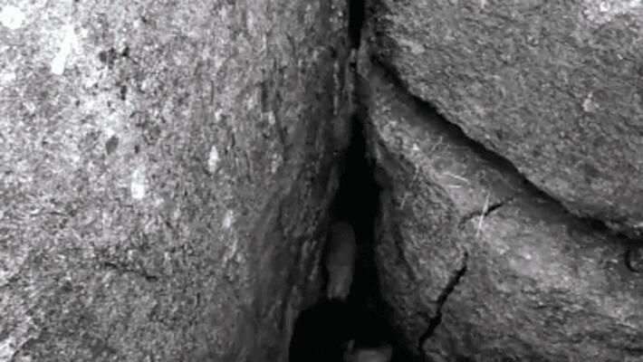 rescue Operation man take out who stuck under rocks in Telangana Kamareddy rescue Operation man take out who stuck under rocks in Telangana Kamareddy