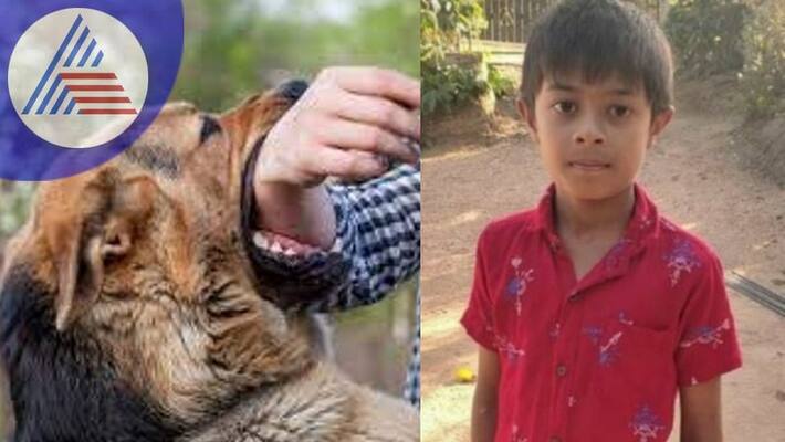 Boy dies of dog bite without treatment sat Boy dies of dog bite without treatment sat