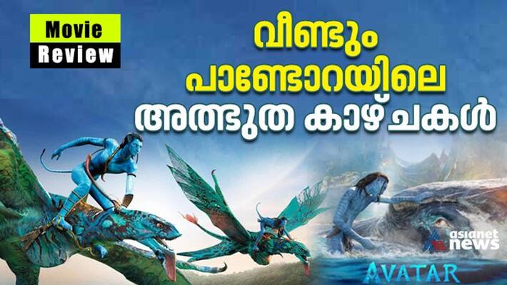 Avatar The Way of Water Review: James Camerons Underwater World magic Avatar The Way of Water Review: James Camerons Underwater World magic