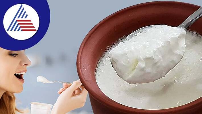 Is It Ok To Eat Curd In The Cold Is It Ok To Eat Curd In The Cold