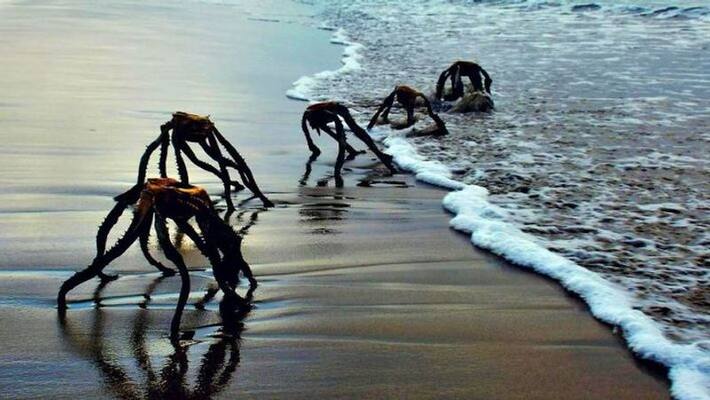 War of the Worlds aliens crawling out of ocean spark panic among beachgoers War of the Worlds aliens crawling out of ocean spark panic among beachgoers