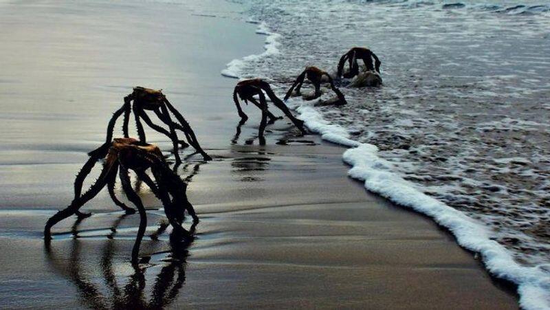 War of the Worlds aliens crawling out of ocean spark panic among beachgoers 