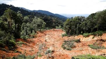 Kerala: Massive landslide hits Idukki; IMD issues orange alert in 2 districts rkn Kerala: Massive landslide hits Idukki; IMD issues orange alert in 2 districts rkn
