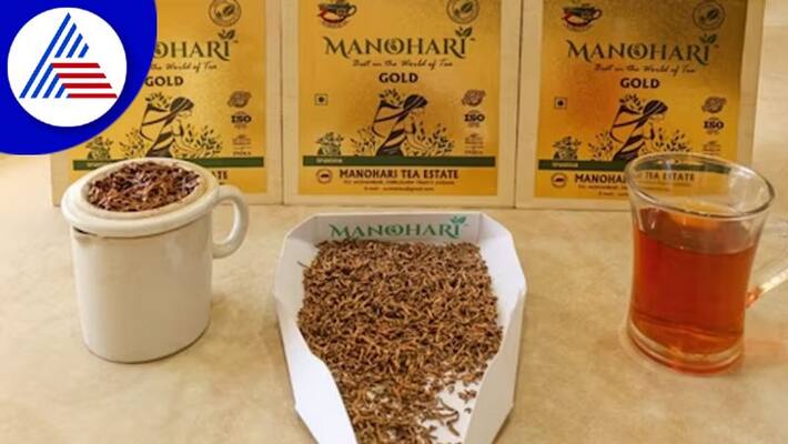 Assams Manohari Gold Tea Sold at Record Rs 1.15 Lakh Per Kg Vin Assams Manohari Gold Tea Sold at Record Rs 1.15 Lakh Per Kg Vin