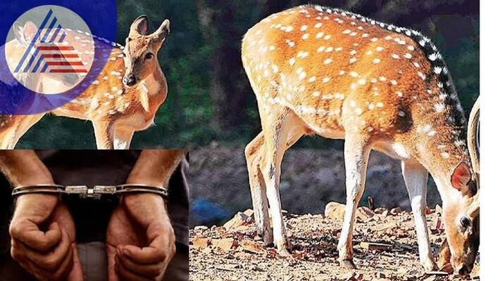 Tragedy happened when the deer hunters ran after the farmers sat Tragedy happened when the deer hunters ran after the farmers sat