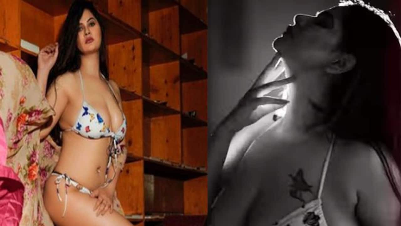 VIDEO:XXX Star आभा पॉल ने बिकिनी में किया सेक्सी डांस, बोल्डनेस में दीपिका  पादुकोण भी हो जाएंगी फेल