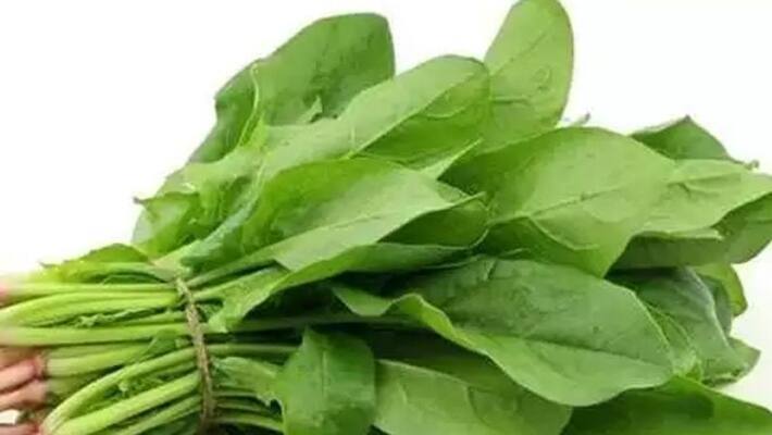 This one spinach is enough to generate new blood! This one spinach is enough to generate new blood!