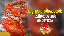 Photo Story Of  Vannathi Bhagavathy Theyyam Alias Vannathi Pothi