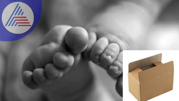Newborn baby boy was found in a cardboard box on the Siddapur roadside sat Newborn baby boy was found in a cardboard box on the Siddapur roadside sat