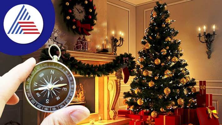 Decorate Christmas tree like this love will increase among family members skr Decorate Christmas tree like this love will increase among family members skr