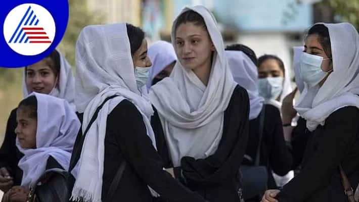 Taliban says women banned from universities in Afghanistan Vin Taliban says women banned from universities in Afghanistan Vin