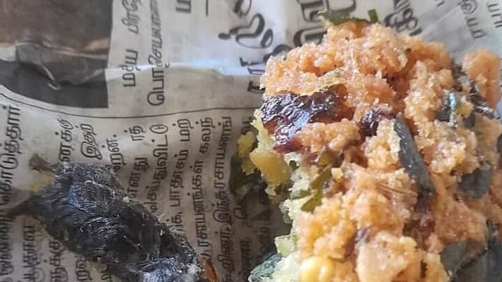 a rat in a dal vada in dindigul a rat in a dal vada in dindigul
