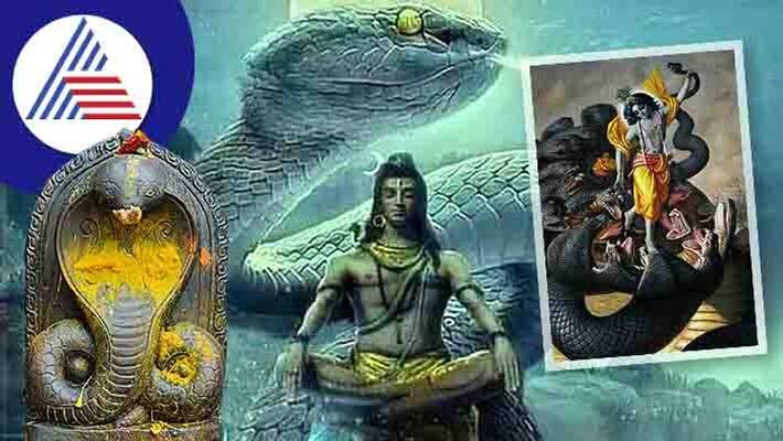 Five powerful snakes of Hinduism skr Five powerful snakes of Hinduism skr