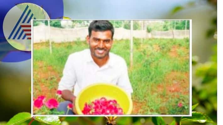 A young man who earned income from rose cultivation at koppal rav A young man who earned income from rose cultivation at koppal rav