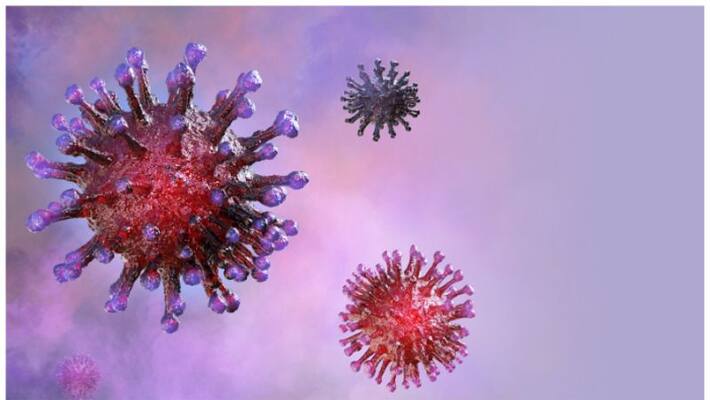 Suspected case of BF 7 variant found in Gujarat Suspected case of BF 7 variant found in Gujarat