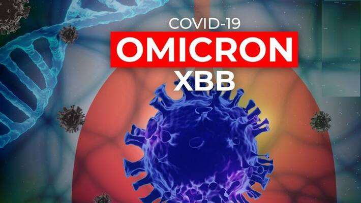 whatsapp message circulating about corona XBB variant is not true says union health ministry whatsapp message circulating about corona XBB variant is not true says union health ministry