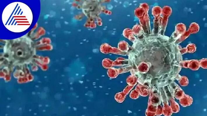 BF-7 Variant May Not Affect India Severely - AIIMS Delhi Senior Epidemiologist Sanjay BF-7 Variant May Not Affect India Severely - AIIMS Delhi Senior Epidemiologist Sanjay