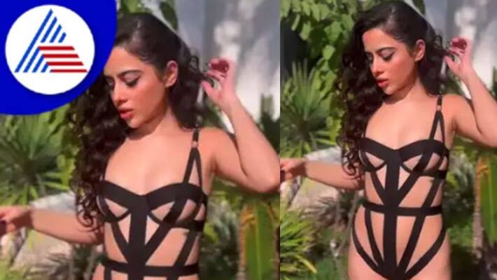 Urfi Javed detention in dubai for revealing cloth actress statement vcs Urfi Javed detention in dubai for revealing cloth actress statement vcs