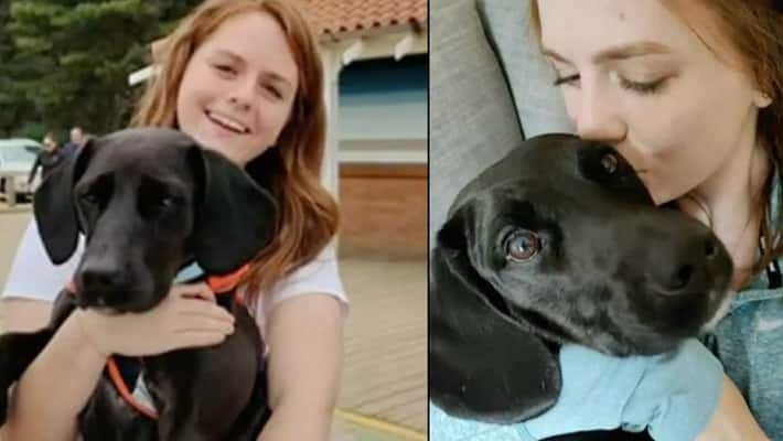 pet dog mistakenly sent to saudi Arabia instead of US from London Heathrow Airport dog owner terrified akb pet dog mistakenly sent to saudi Arabia instead of US from London Heathrow Airport dog owner terrified akb