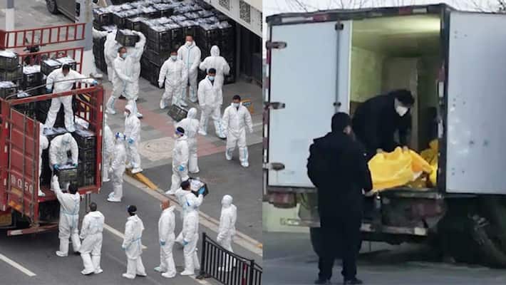 china is likely registering 1 million covid cases 5000 deaths a day report ash china is likely registering 1 million covid cases 5000 deaths a day report ash
