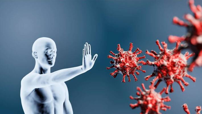vitamins that provide the ultimate immune system support vitamins that provide the ultimate immune system support