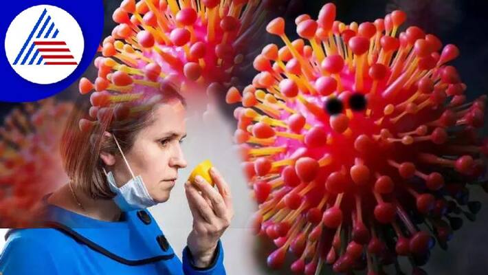 What causes loss of smell in Covid, simple home remedies to bring it back Vin What causes loss of smell in Covid, simple home remedies to bring it back Vin