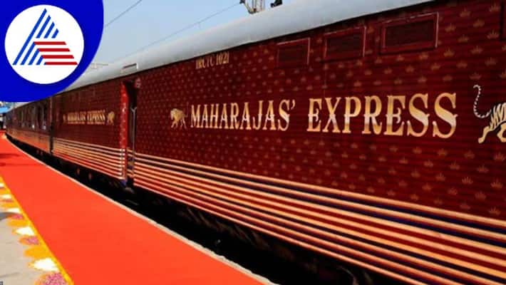 Viral Video: Man Gives Tour Of Maharajas Express, Ticket Cost 19 Lakh Viral Video: Man Gives Tour Of Maharajas Express, Ticket Cost 19 Lakh