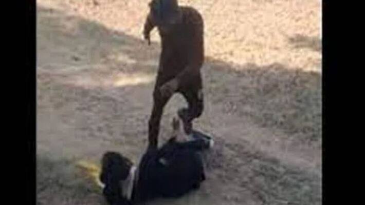 Angry over marriage demand, man brutally assaults girlfriend in Madhya pradesh Rewa; video goes viral Angry over marriage demand, man brutally assaults girlfriend in Madhya pradesh Rewa; video goes viral