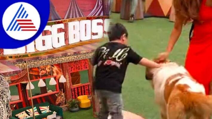 Bigg boss Hindi season 16 house witnesses entry of a cute dog as a new member vcs Bigg boss Hindi season 16 house witnesses entry of a cute dog as a new member vcs