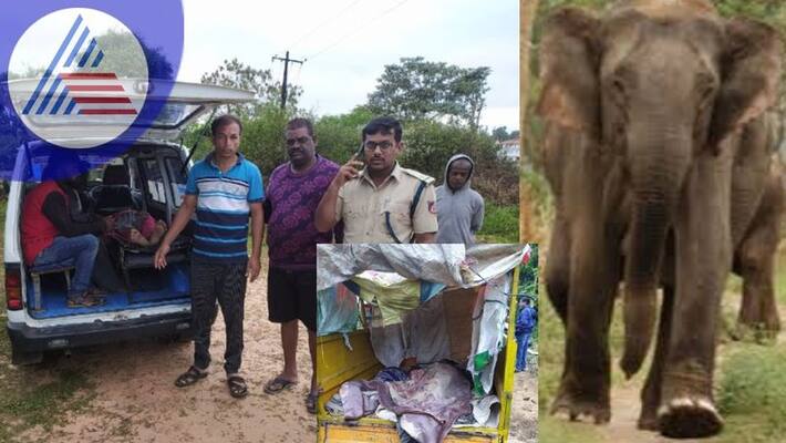 Three more attacked by one horned elephant serious injury sat Three more attacked by one horned elephant serious injury sat