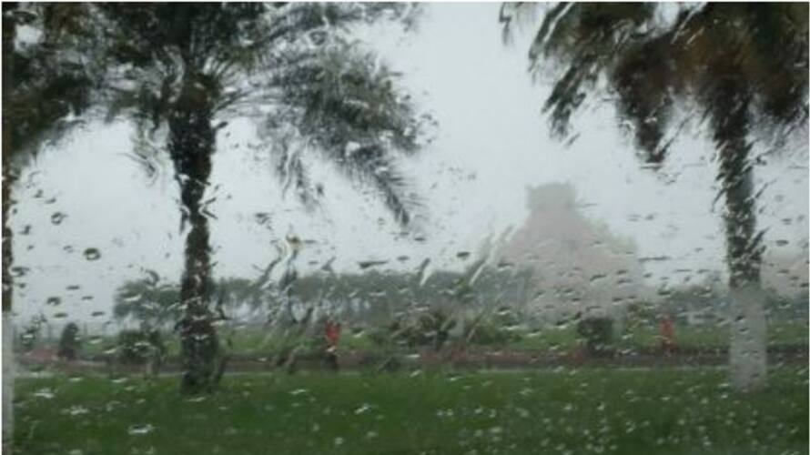 Crops damaged due to unseasonal rains; farmers are worried Crops damaged due to unseasonal rains; farmers are worried
