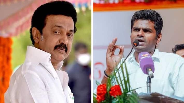 25 MPs confirmed from Tamil Nadu says bjp annamalai 25 MPs confirmed from Tamil Nadu says bjp annamalai