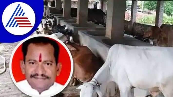 Soon Govt Goshala at Savadatti Yallamma Gudda says minister Chavan at belagavi Soon Govt Goshala at Savadatti Yallamma Gudda says minister Chavan at belagavi