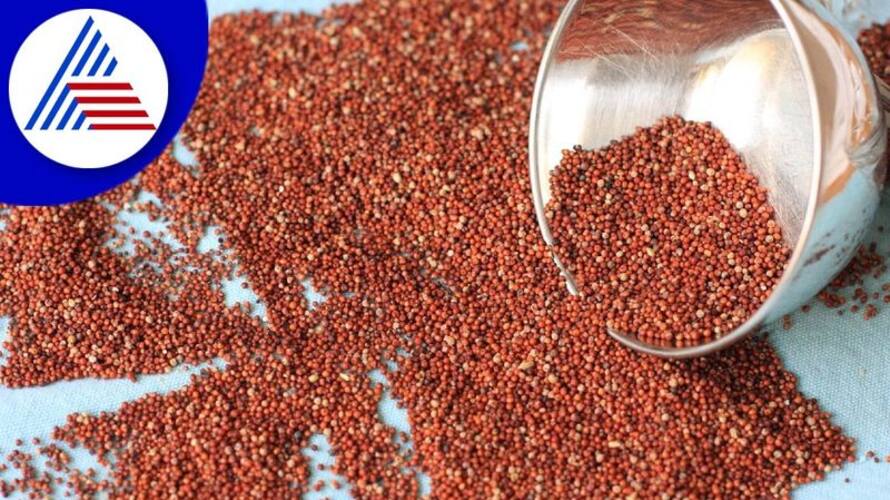 Fix the difference between the support price of maize and millet snr Fix the difference between the support price of maize and millet snr
