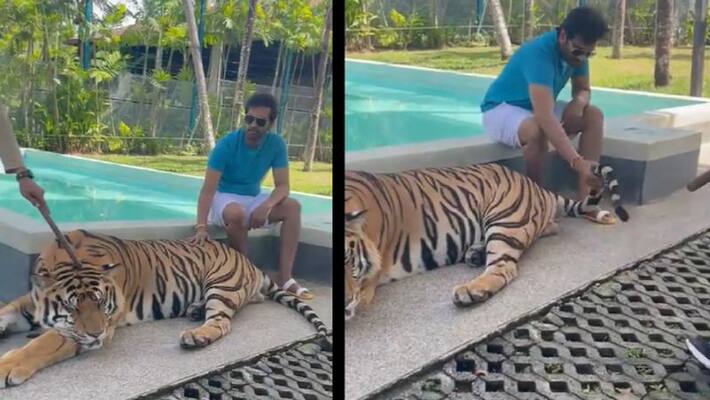 Actor santhanam holding tiger tail video sparks controversy Actor santhanam holding tiger tail video sparks controversy