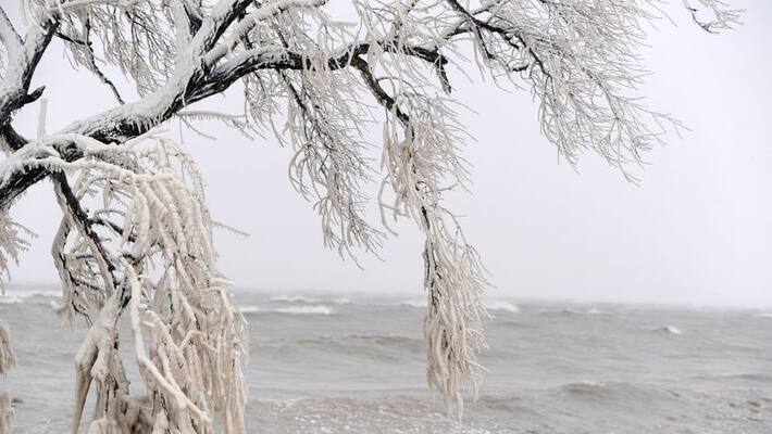 Indian couple slips to death in US ice lake Indian couple slips to death in US ice lake