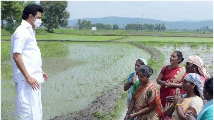 sugar cane will distribute through ration shops in tamil nadu mk stalin announced sugar cane will distribute through ration shops in tamil nadu mk stalin announced