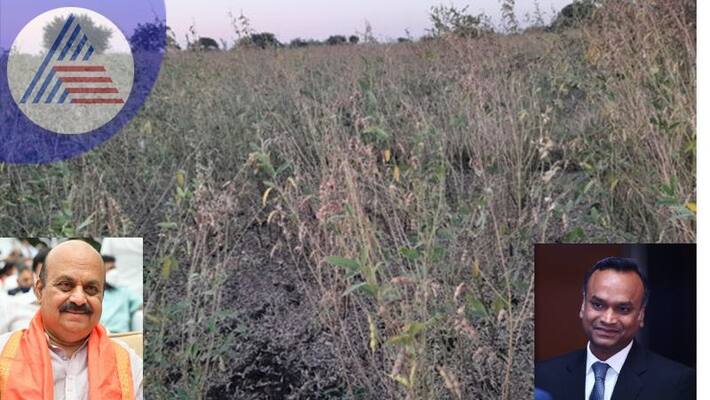Togari crop damage due to nete disease Rs 500 crore Priyank Kharge demands package announcement sat Togari crop damage due to nete disease Rs 500 crore Priyank Kharge demands package announcement sat