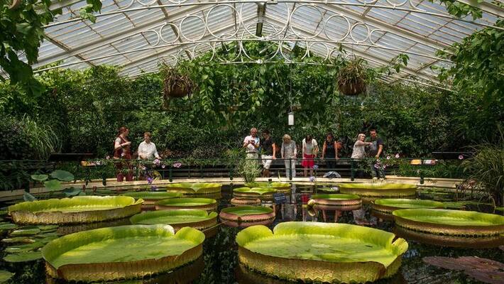 TAMIL NADU GOVERNMENT TO SET UP A BOTANICAL GARDEN AT A COST OF RS 300 CRORES TAMIL NADU GOVERNMENT TO SET UP A BOTANICAL GARDEN AT A COST OF RS 300 CRORES