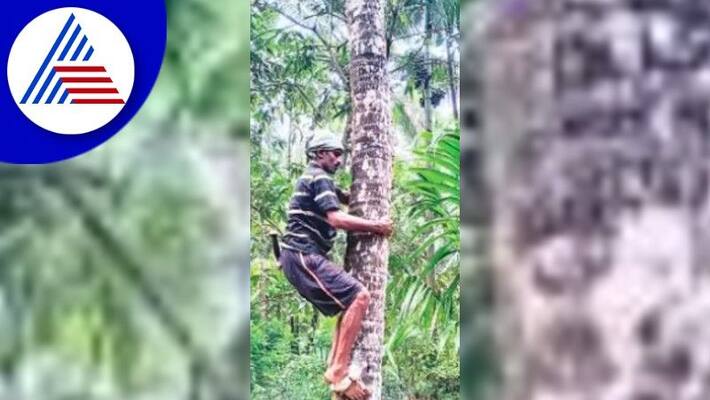 year in review in sirsi at uttarakannada new year rav year in review in sirsi at uttarakannada new year rav