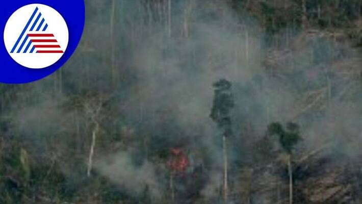 Forest department is ready to prevent forest fire at ballari rav Forest department is ready to prevent forest fire at ballari rav