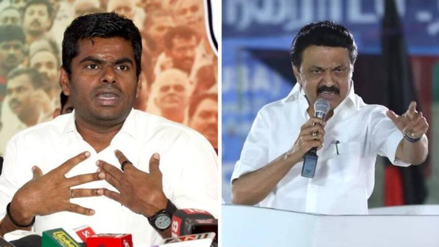 Annamalai has urged the Chief Minister of Tamil Nadu to prevent crimes against Scheduled Tribes Annamalai has urged the Chief Minister of Tamil Nadu to prevent crimes against Scheduled Tribes
