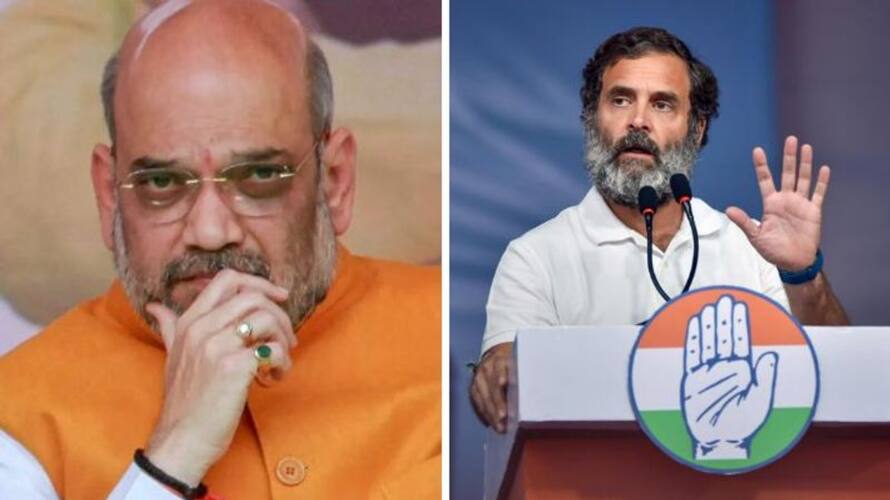 On Adani Hindenburg Row Amit Shah Says If Any Wrong Has Been Done ED CBI san On Adani Hindenburg Row Amit Shah Says If Any Wrong Has Been Done ED CBI san